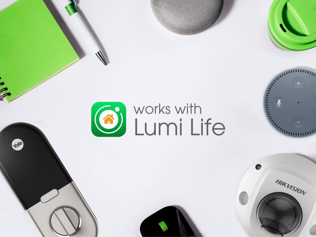 1.-works-with-lumi-la-gi-1024x768