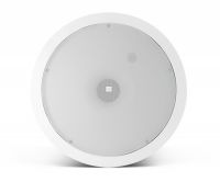 Loa JBL Control 19CS