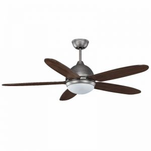 Quạt Trần ROYAL DAISY SO